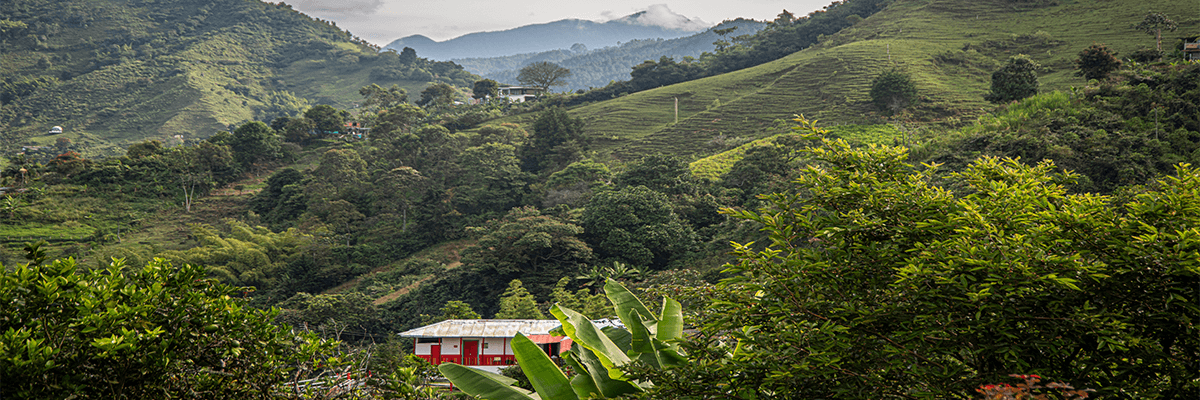 Forfait Colombia Signature: Coffee Region & Cartagena